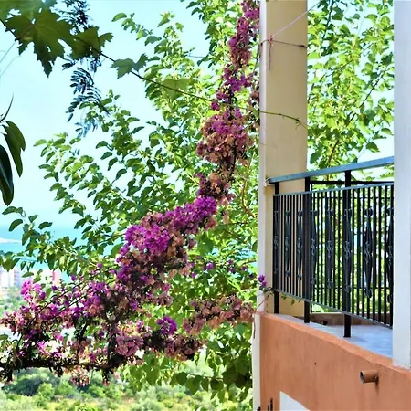 Valentina's Family 2 Himare